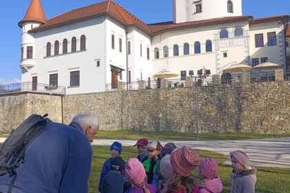 Rok v živote živočíchov